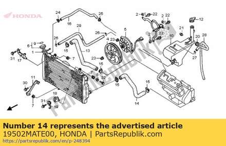 Hose, radiator lower 19502MATE00 Honda