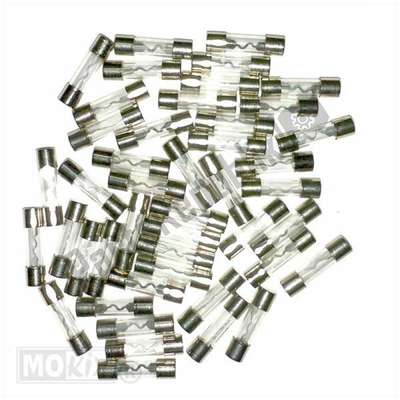 Zekeringen glas 10ampere 25mm (100) 6100 Mokix