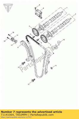Spares kit, cam chain and blade T1141064 Triumph