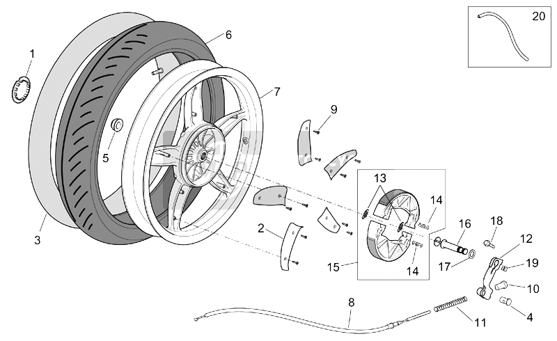 Rear wheel - drum brake